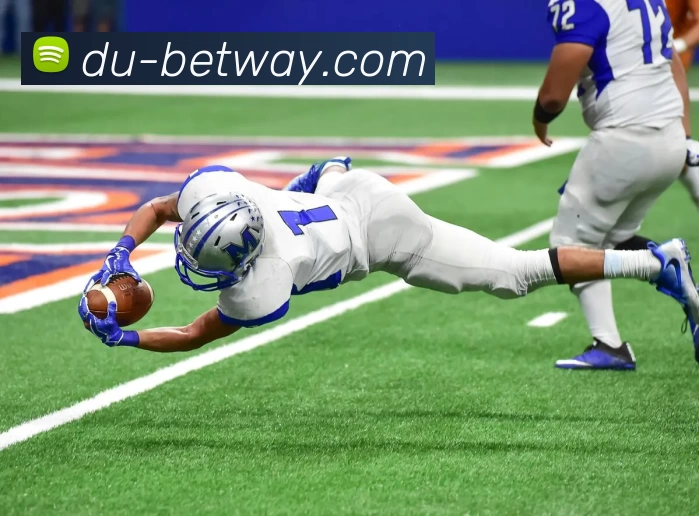 必威体育平台平台生态图