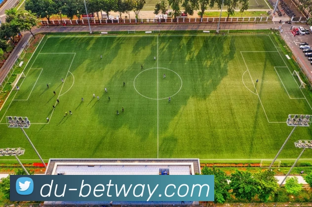 必威体育平台APP 封面图